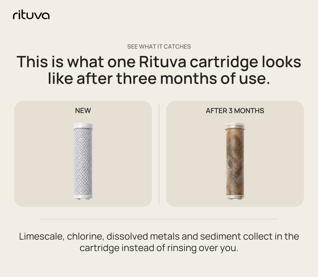 Rituva Filtered Showerhead