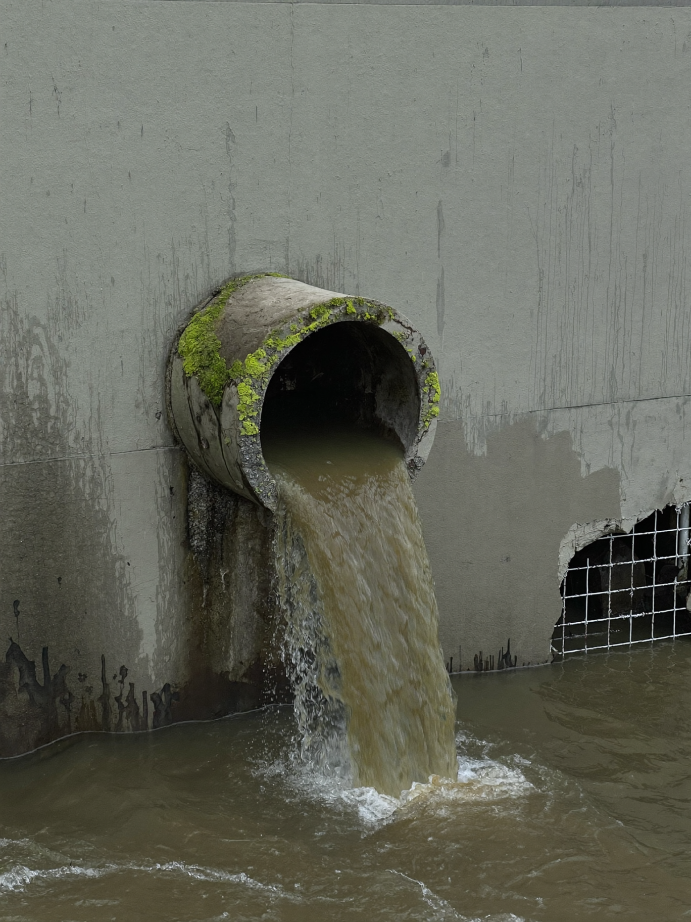 An old drain pipe discharging murky water