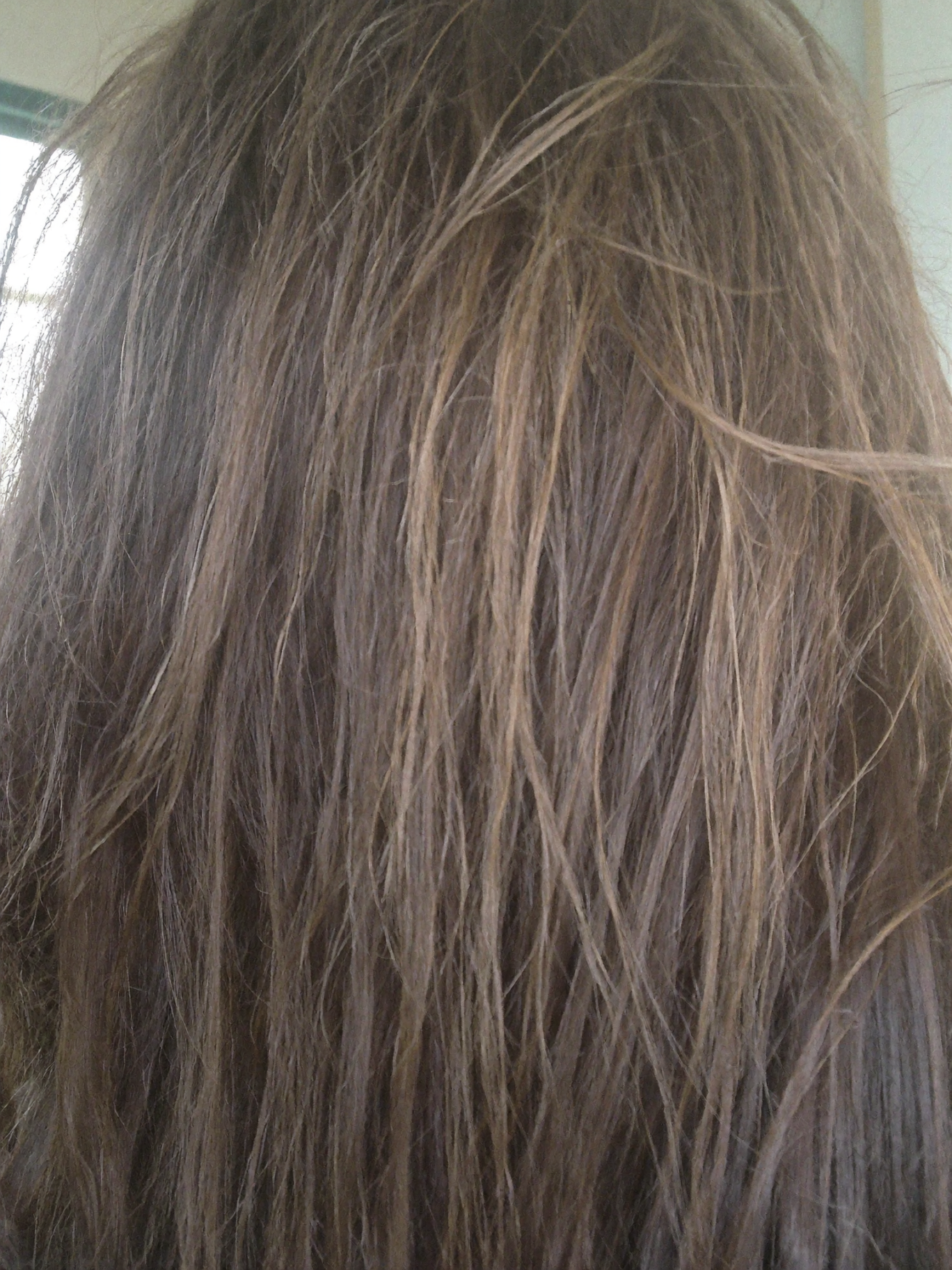 Close-up of brown hair with flyaways