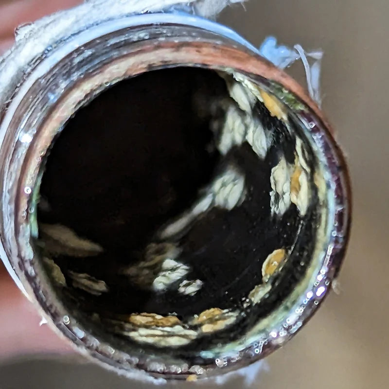 Water quality image